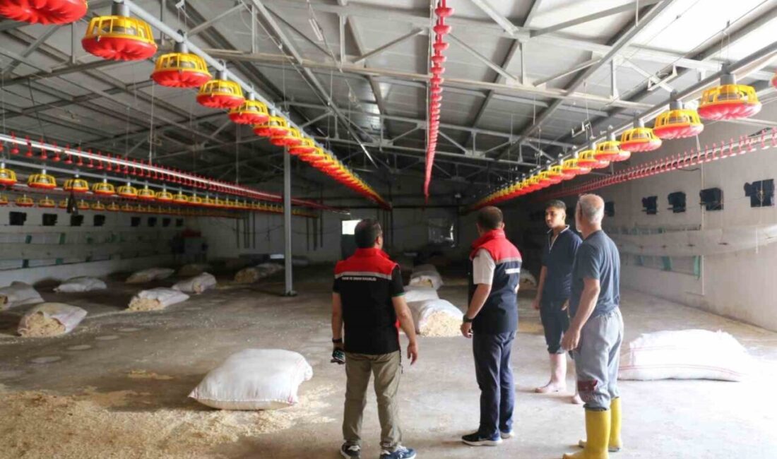 Erzincan İl Tarım ve Orman Müdürü Alper Koçaker, Mollaköy beldesi