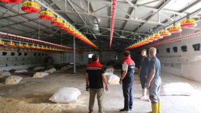 Erzincan İl Tarım ve Orman Müdürü Alper Koçaker, Mollaköy beldesi