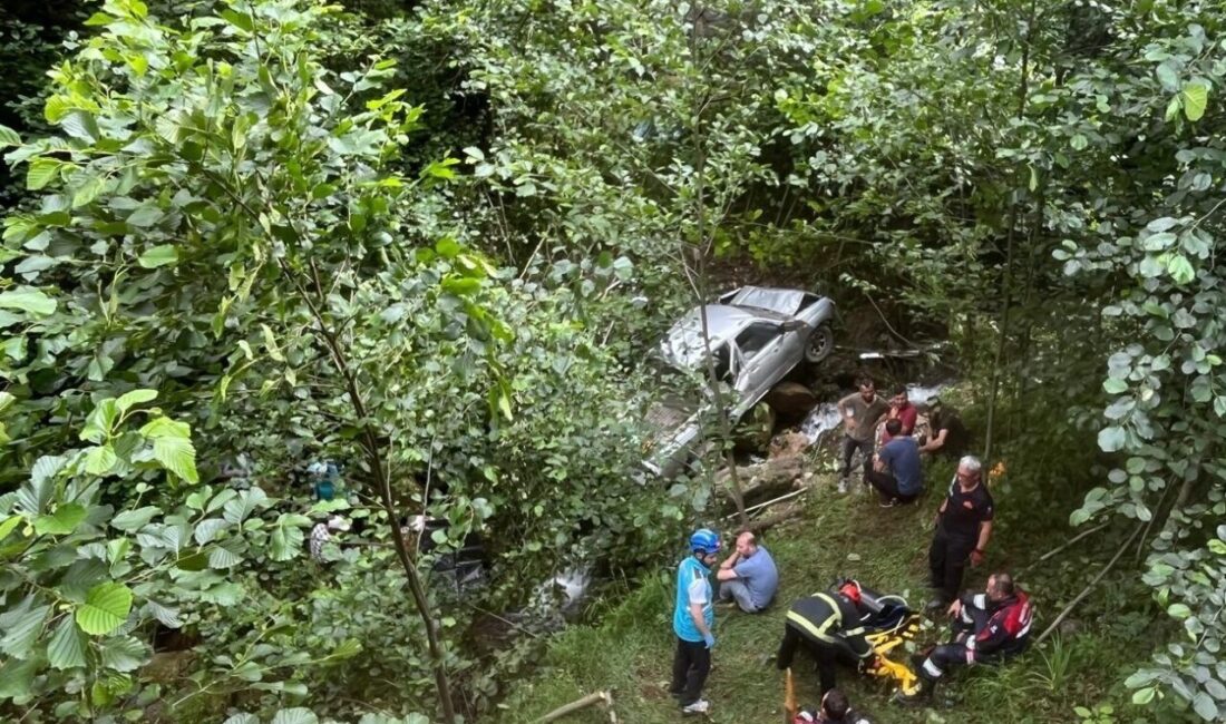 Trabzon’un Sürmene ilçesinde meydana gelen trafik kazasında ilk belirlemelere göre