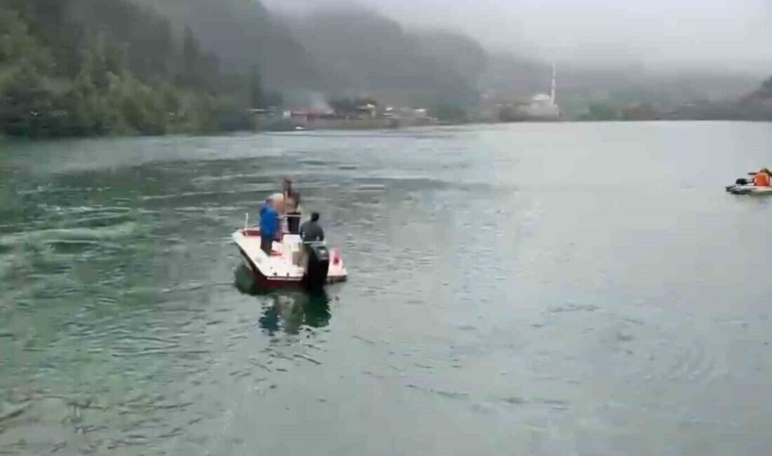 Trabzon’un Çaykara ilçesine bağlı dünyaca ünlü turizm merkezi Uzungöl’e düşen