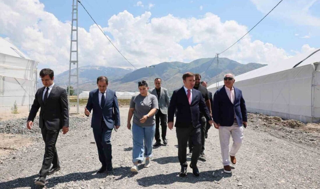 Erzincan Valisi Hamza Aydoğdu, Toplu Sera Bölgesi’ni ziyaret ederek üreticilerle