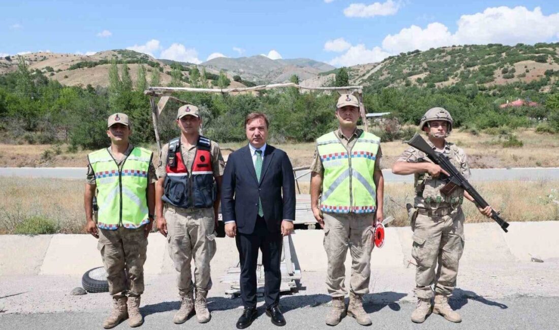 Erzincan Valisi Hamza Aydoğdu, Tercan-Üzümlü kara yolu üzerinde asayiş kontrolü