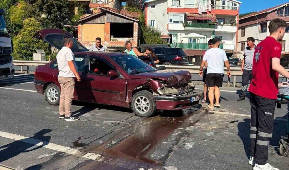 Zonguldak’ın Karadeniz Ereğli ilçesinde yayalara yol vermek için duran kamyona